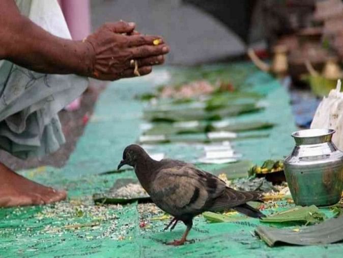 SHRADH à¤à¥ लिठà¤à¤®à¥à¤ परिणाम