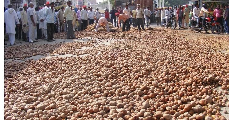 Image result for protest by potato farmers