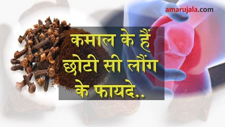know about many benefits of Clove by senior dietician special story