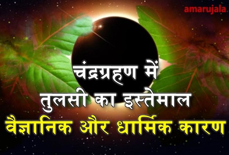 Lunar Eclipse 2018: Why tulsi is put in food during grahan special story