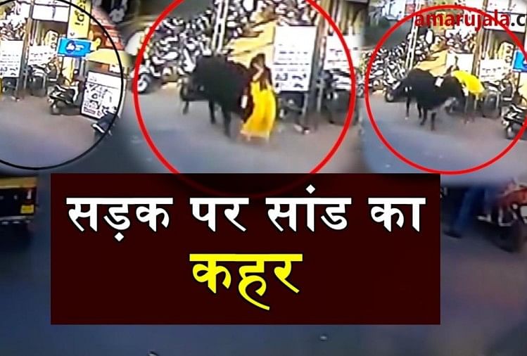 bull hit woman in bharuch