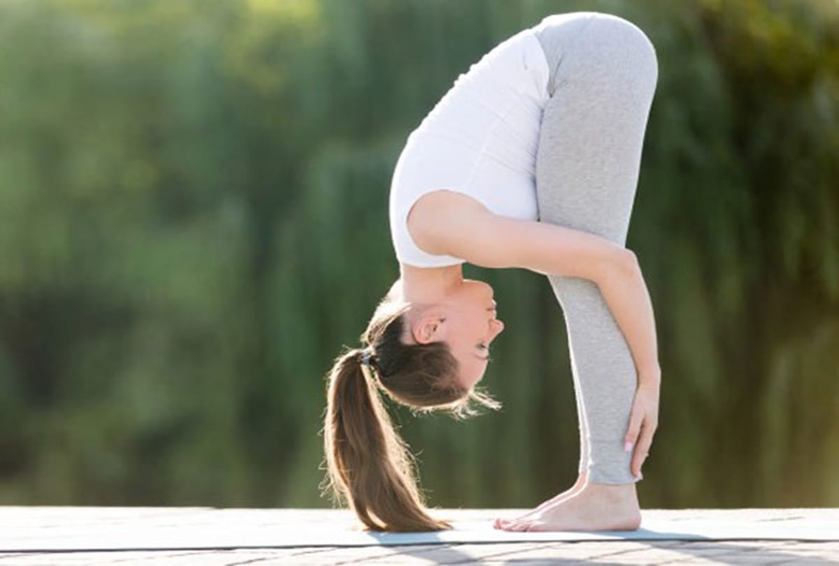 Advantages Of Padahastasana In Hindi - जांघों एवं घुटनों को मजबूत करने के लिए प्रतिदिन करें इस आसन का अभ्यास - Amar Ujala Hindi News Live