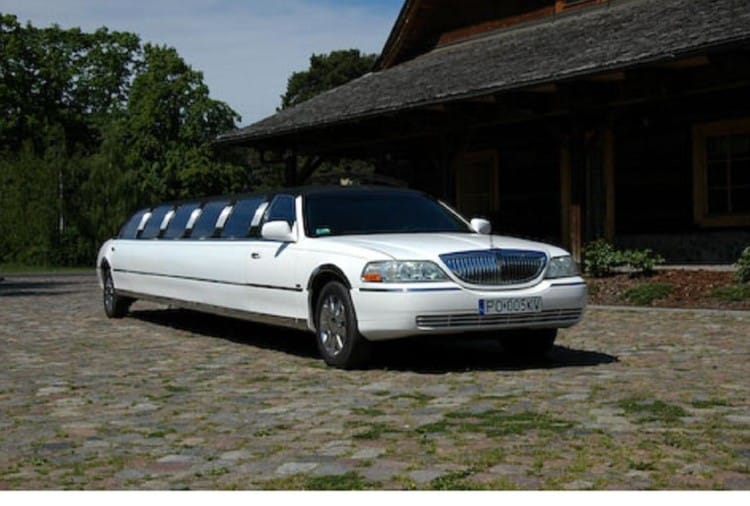 This Is Limousine's Specialty, Hence Reception Of Pm Modi Will Be Done