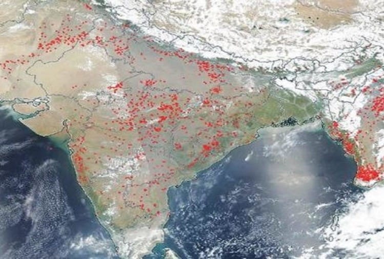 Image result for parali nasa