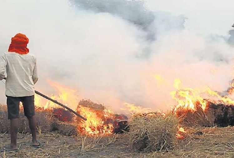 there is a strong link between Delhi's pollution and agricultural fires in Punjab and Haryana