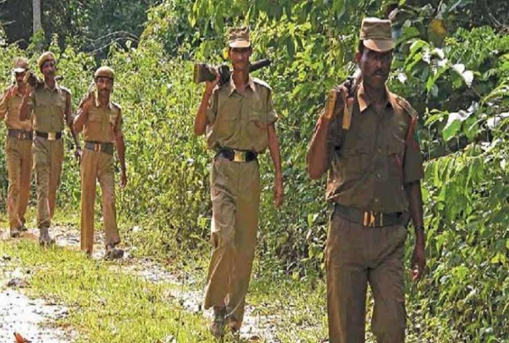 Cg Forest Recruitment 2018 For 40 Forest Guard Posts, Apply Online - वन  विभाग में नौकरी का मौका, 12वीं पास हैं तो तुरंत कर दें आवेदन, सैलरी 62 हजार  रुपये - Amar Ujala Hindi News Live