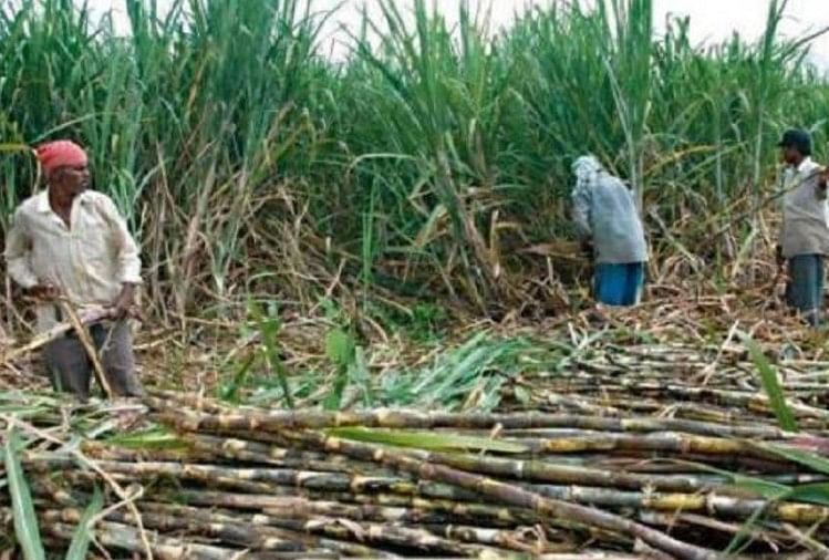 farmers for big shock, two sugar mills Notice to ban 
