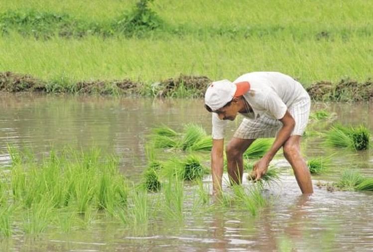 In the Prime Minister Crop Insurance Scheme, farmers fourth year insurance can be waived