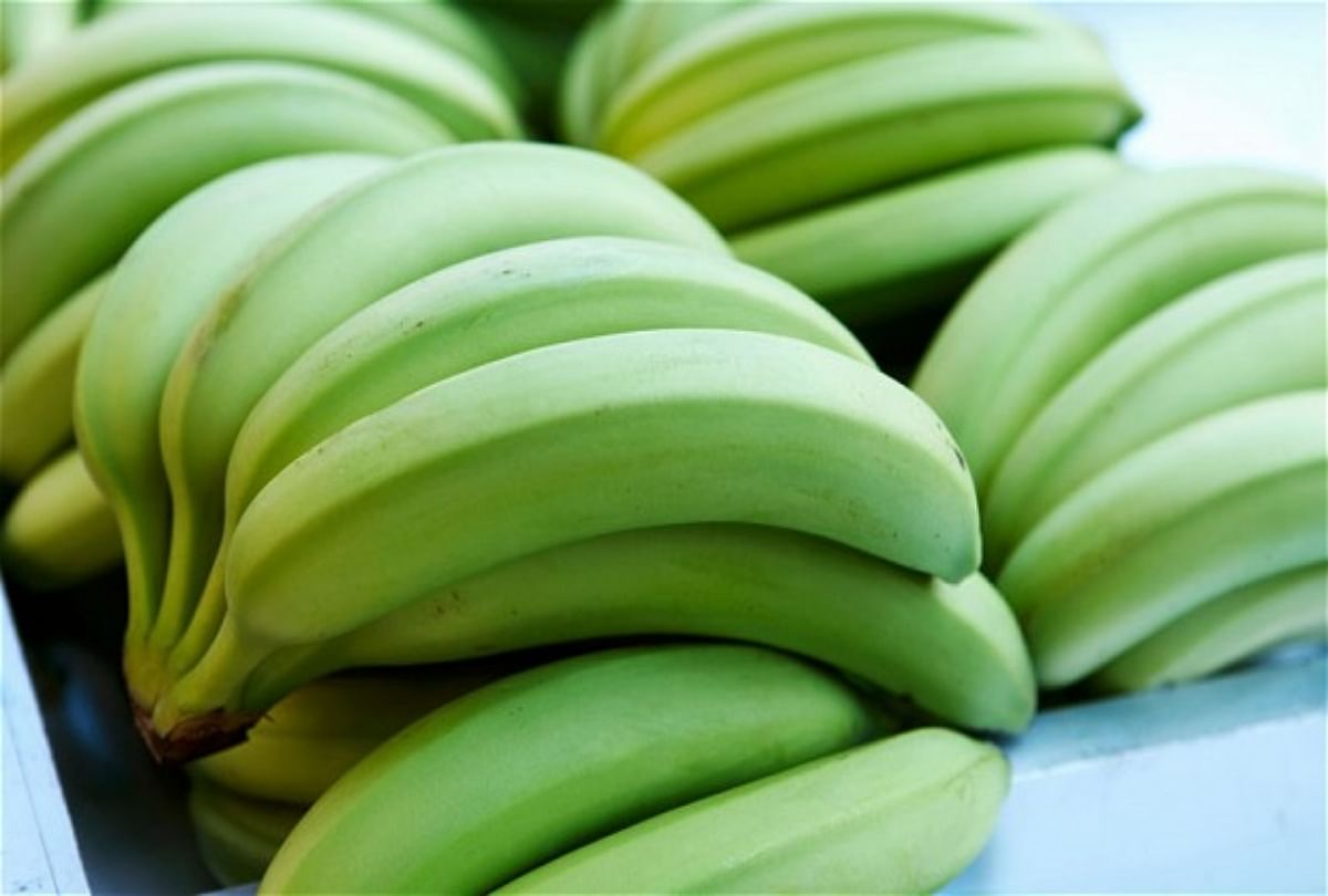 green-raw-banana-packaging-type-gunny-bag-at-rs-25-kg-in-pune-id