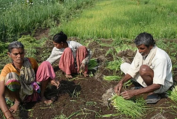 किसानों को पहली किस्त के लिए जरूरी नहीं आधार, ऐसे की जाएगी पहचान ...