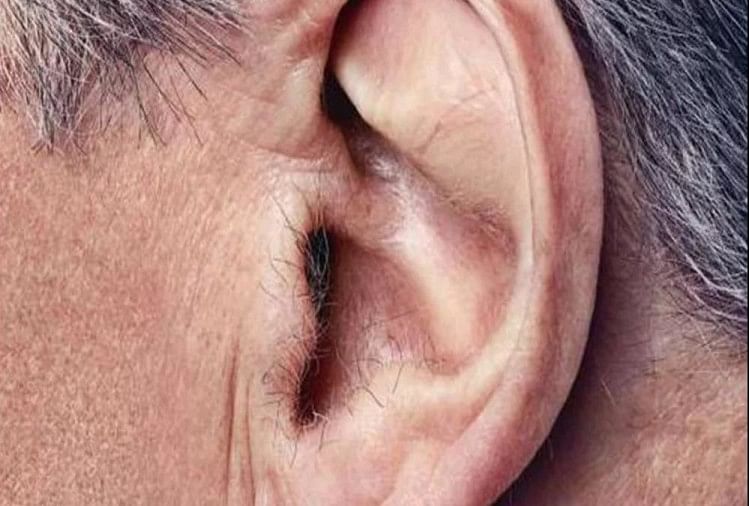 Having Hair In Your Ear Is A Warning Which You Should Never Ignore