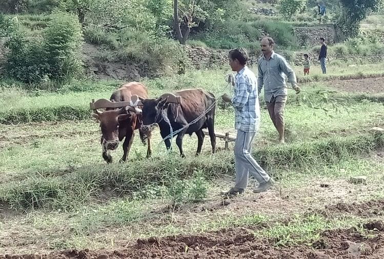 प्रतीकात्मक तस्वीर