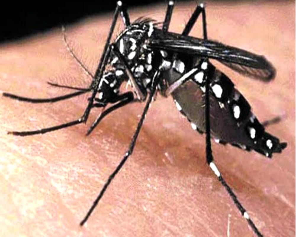 जल्दी रिकवरी करने के लिए एक्सपर्ट के बताए इन टिप्स को माने…