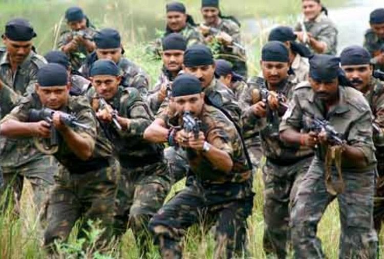 Fight Like C-60 Commandos Of Maharashtra In Naxal Effected States, Center Writes Letter To States - महाराष्ट्र की C-60 की तरह लड़ें नक्सल प्रभावित राज्यों के सुरक्षाबल,केंद्र की ...