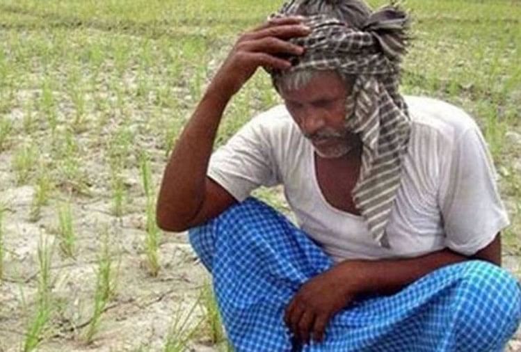 इन परेशानियों के चलते सरकार फसल बीमा योजना में करेगी बड़ा बदलाव, किसानों को मिलेगी सुविधा प्रतीकात्मक तस्वीर