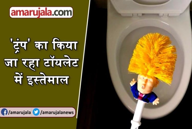 Donald Trump Toilet Brush - World Toilet Day: जानें क्या है डोनाल्ड ...