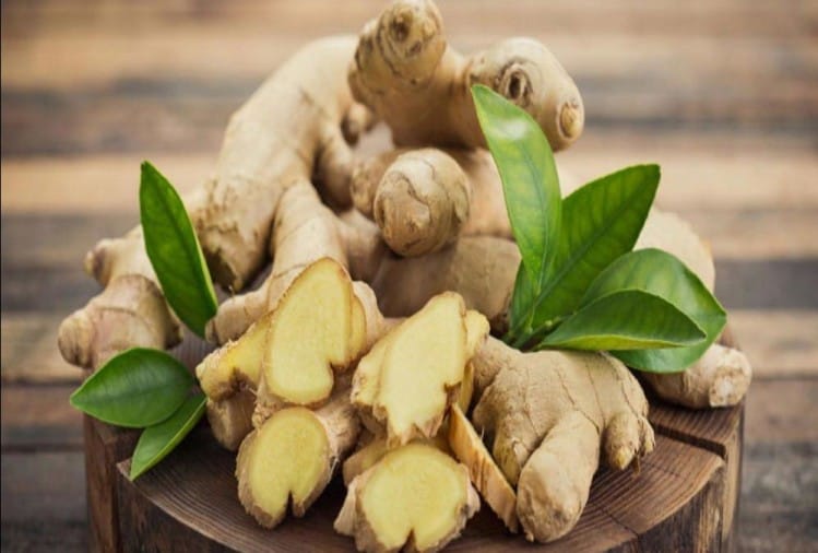 ginger