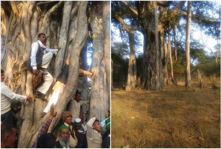 New Chipko Andolan Started In Sambhal - संभल में नया चिपको ...