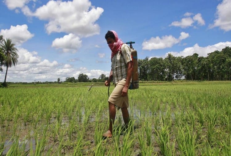 Pesticides Fertilizer Used Less In India Than America Europe