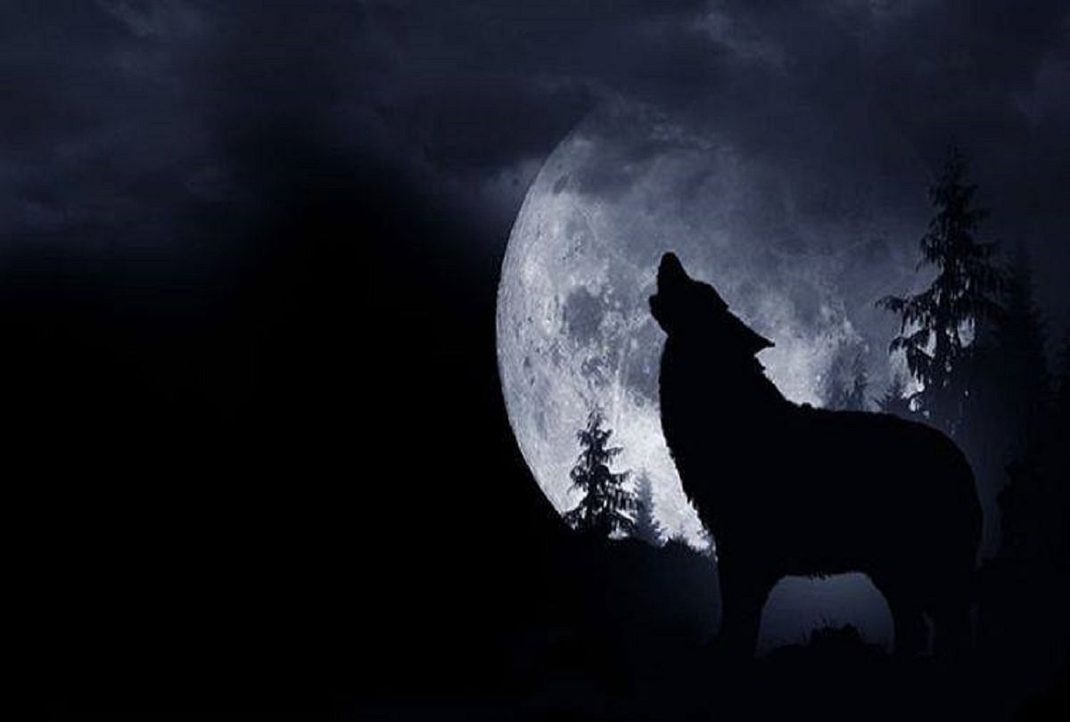 Wolf Moon