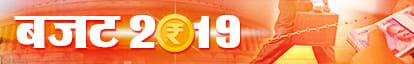 Budget 2019