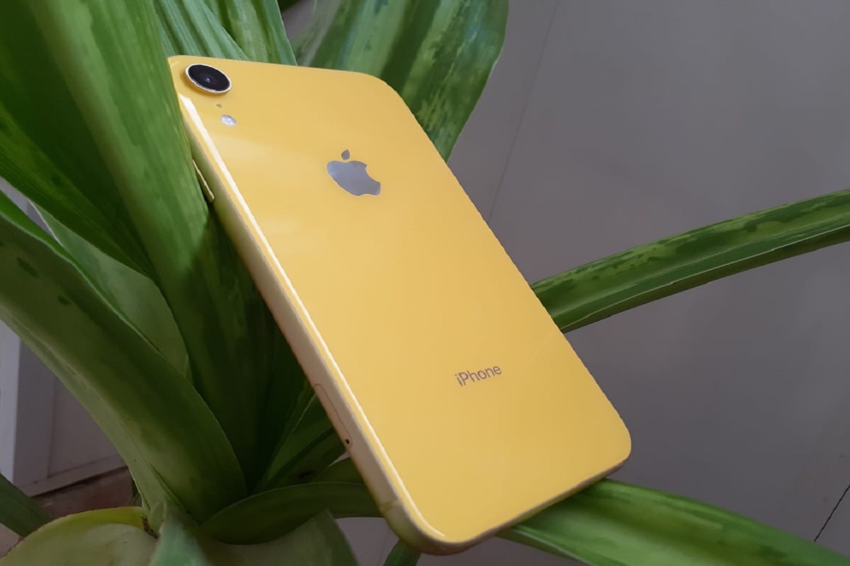 iPhone XR review: рдмреЗрд╣рддрд░реАрди рдбрд┐рд╕реНрдкреНрд▓реЗ рдХреЗ рд╕рд╛рде рд╢рд╛рдирджрд╛рд░ рдХреИрдорд░реЗ рдХрд╛ рдХреЙрдореНрдмрд┐рдиреЗрд╢рди