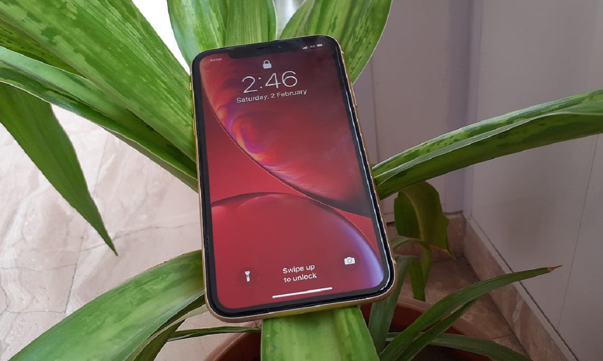 iPhone XR review: рдмреЗрд╣рддрд░реАрди рдбрд┐рд╕реНрдкреНрд▓реЗ рдХреЗ рд╕рд╛рде рд╢рд╛рдирджрд╛рд░ рдХреИрдорд░реЗ рдХрд╛ рдХреЙрдореНрдмрд┐рдиреЗрд╢рди