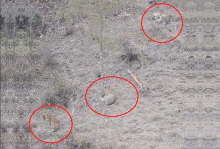 Image result for तà¥à¤à¤¦à¥à¤à¤ à¤à¤¾ à¤à¥à¤à¤¡, दहशत मà¥à¤ à¤à¥ रहॠà¤à¤¾à¤à¤µ à¤à¥ लà¥à¤