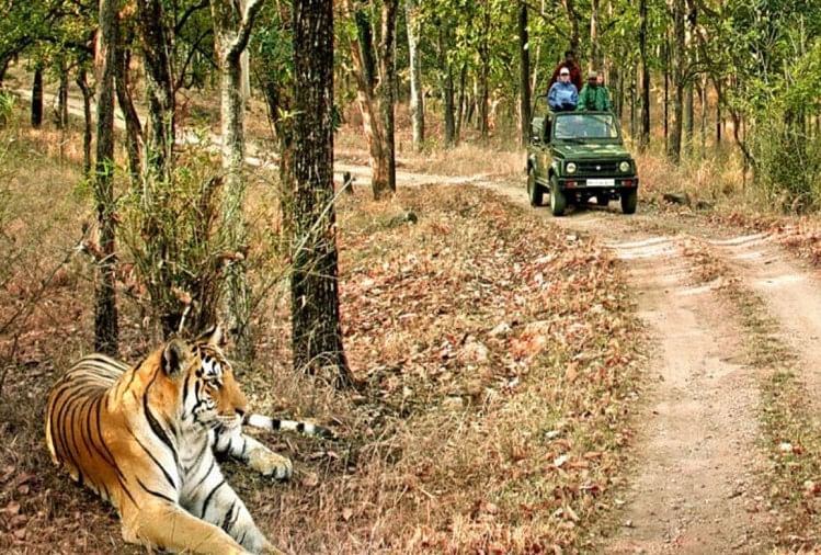 Corbett national park Open Today For Tourist Booking Full till December