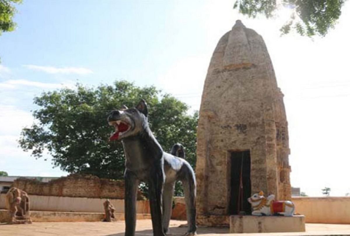 Kukurdev Temple Of Chhattishgarh Is Famous For Dog Worship - भारत में इस जगह होती है कुत्ते की पूजा, कुकुरदेव मंदिर की अजीबोगरीब मान्यता जान कर हो जाएंगे हैरान - Amar Ujala