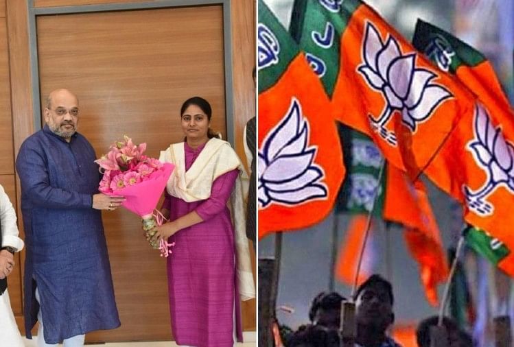 bjp-and-apna-dal_1552654598