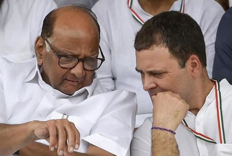 लोकसभा चुनाव 2019 : राष्ट्र में मोदी-राहुल तो महाराष्ट्र में शरद पवार की अग्निपरीक्षा राहुल गांधी-शरद पवार (फाइल फोटो)