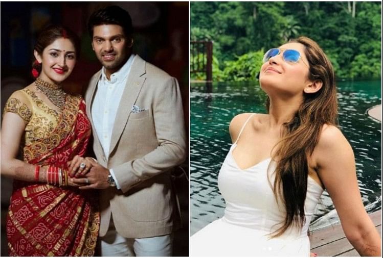 Sayesha Saigal Shared Honeymoon Pictures With Husband Arya  शादी के 13