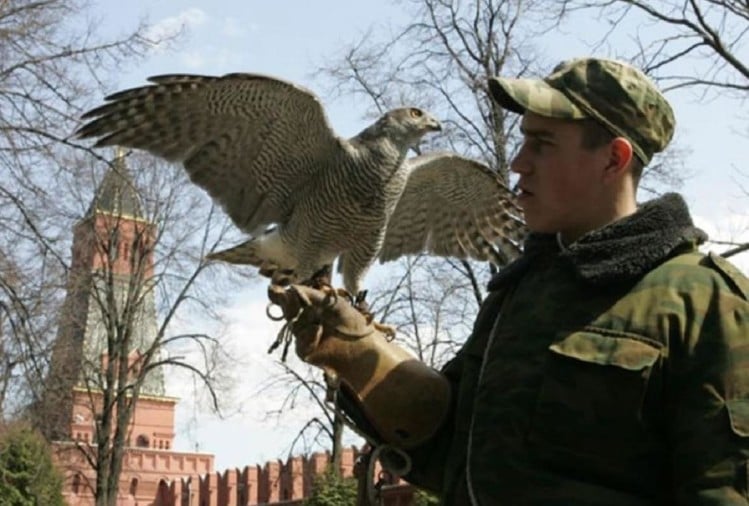 Eagle Owls Is Guarding Russian President Vladimir Putin House Kremlin In Moscow - इस देश में बाज और उल्लू करते हैं राष्ट्रपति भवन की सुरक्षा, इनकी तैनाती के पीछे ये है वजह -