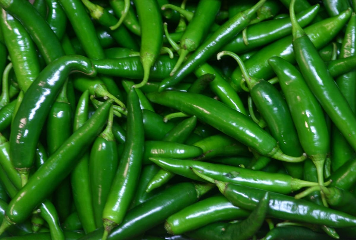 Benefits Of Green Chillies In Summer - गर्मी के मौसम ...