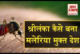 डिजाइन पिक्चर