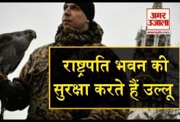 डिजाइन पिक्चर