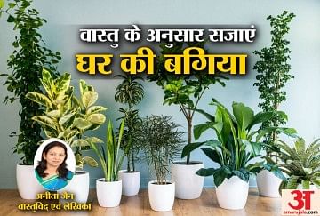 Vastu tips for plants