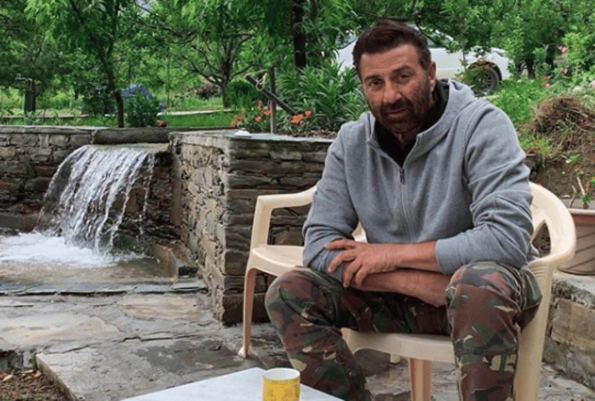 इतने करोड़ की संपत्ति के मालिक हैं &amp;#39;सांसद&amp;#39; सनी देओल, नामांकन के दौरान हुए थे कई खुलासे - Entertainment News: Amar Ujala