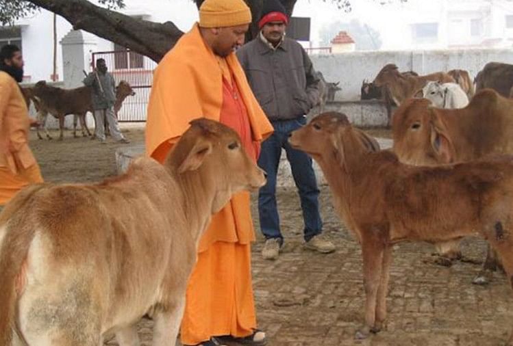 मुख्यमंत्री योगी आदित्यनाथ