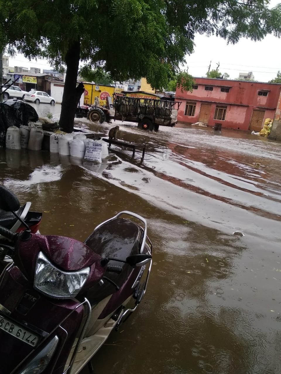 फोटो नंबर 15- पुरानी अनाज मंडी में भरा बारिश का पानी।
