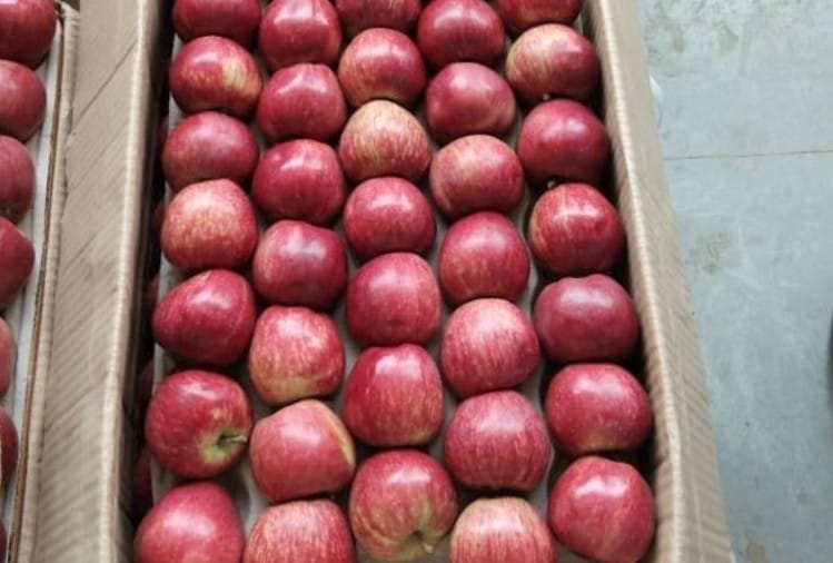 Purchase of apples started in other villages including disaster affected Arakot