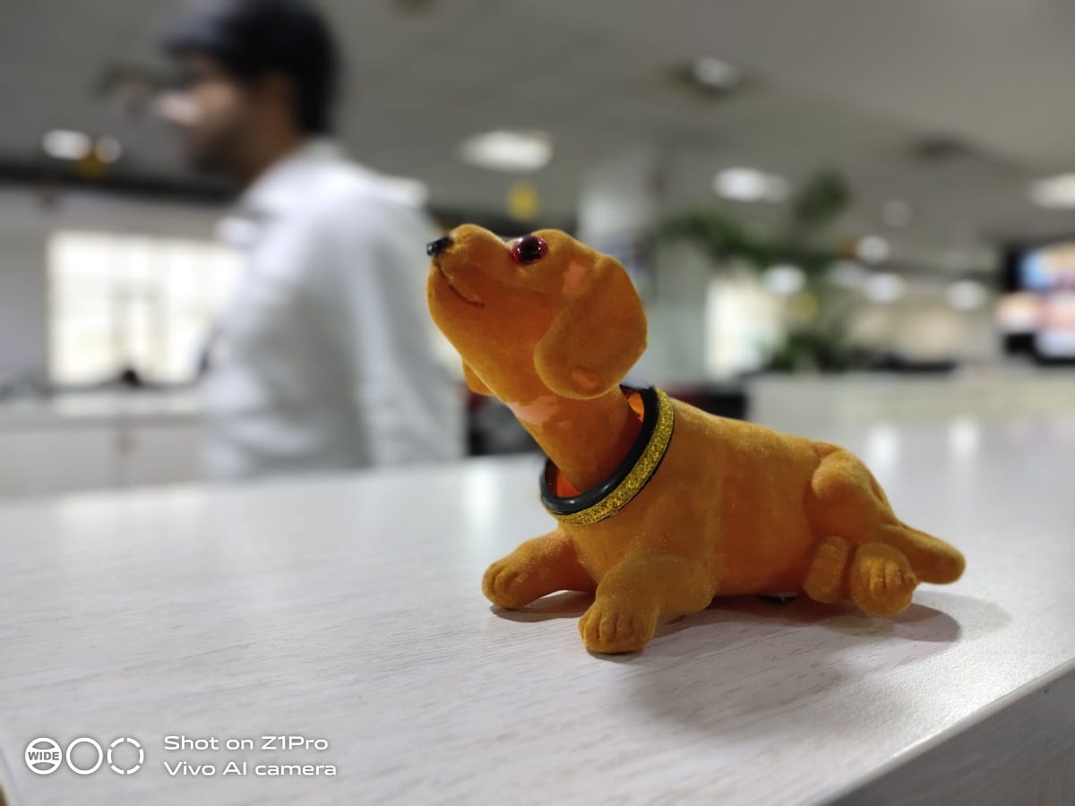 Vivo Z1 PRO Review: 15 हजार की रेंज में जंबो बैटरी वाला शानदार ऑल राउंडर स्मार्टफोन