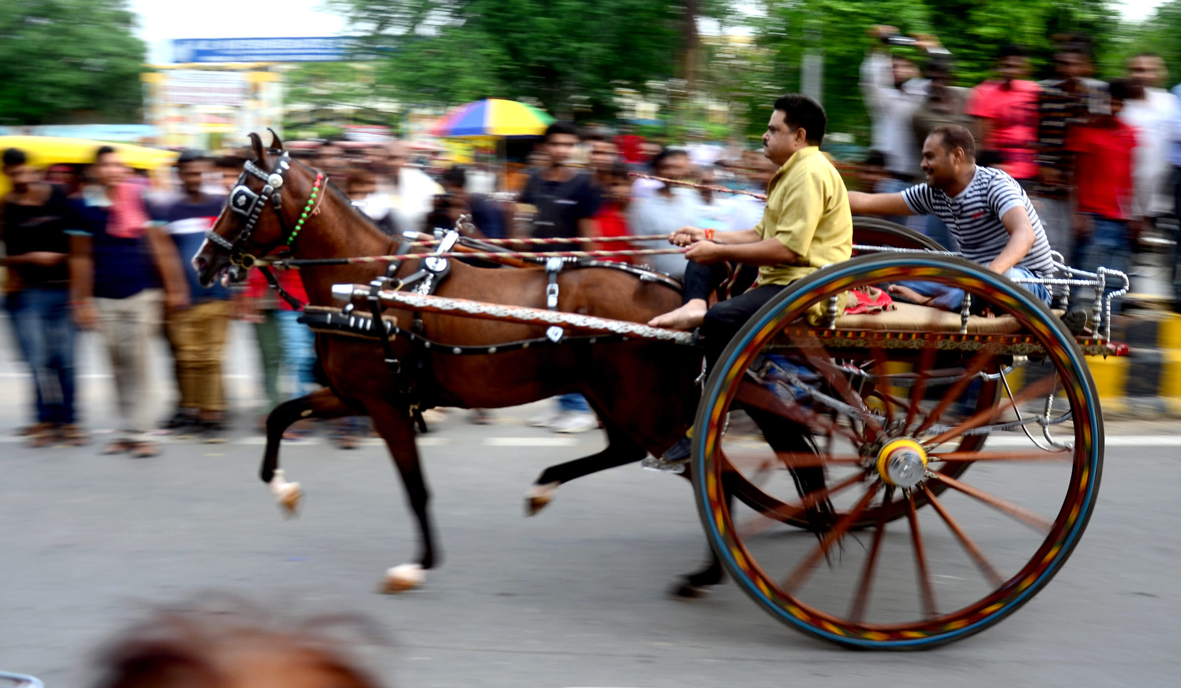 सावन के पहले सोमवार पर सीएमपी डिग्री कालेज से मेडिकल चौराहे तक हुई गहरेबाजी में खूब दौड़े घोड़े।