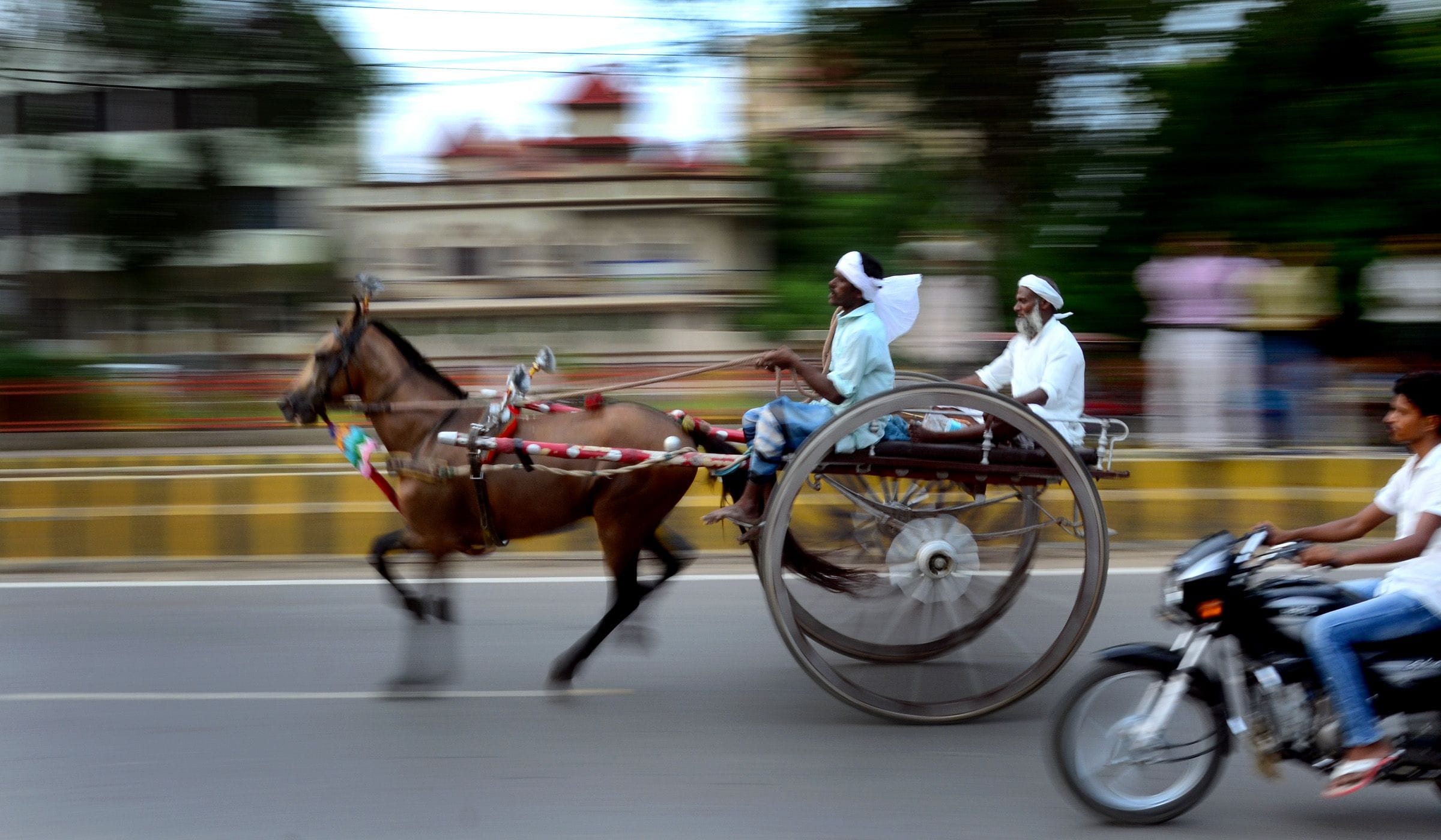 Prayagraj: Gajab's adventures among the fame of the city's gambling