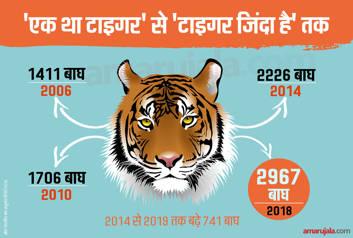 International Tiger Day Indias Tigers Population Rises To Five Year High To Reach 2967 ब घ म बह र ह द श म ब घ क स ख य त न हज र क प स पह च आ कड स समझ ए