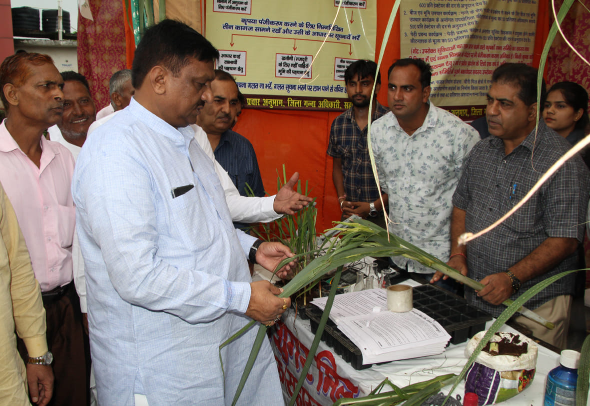 सहारनपुर में किसान मेले में लगे स्टॉल पर जानकरी लेते आयुष राज्य मंत्री डा धर्म सिंह सैनी सहारनपुर में किसान मेले में लगे स्टॉल पर जानकरी लेते आयुष राज्य मंत्री डा धर्म सिंह सैनी