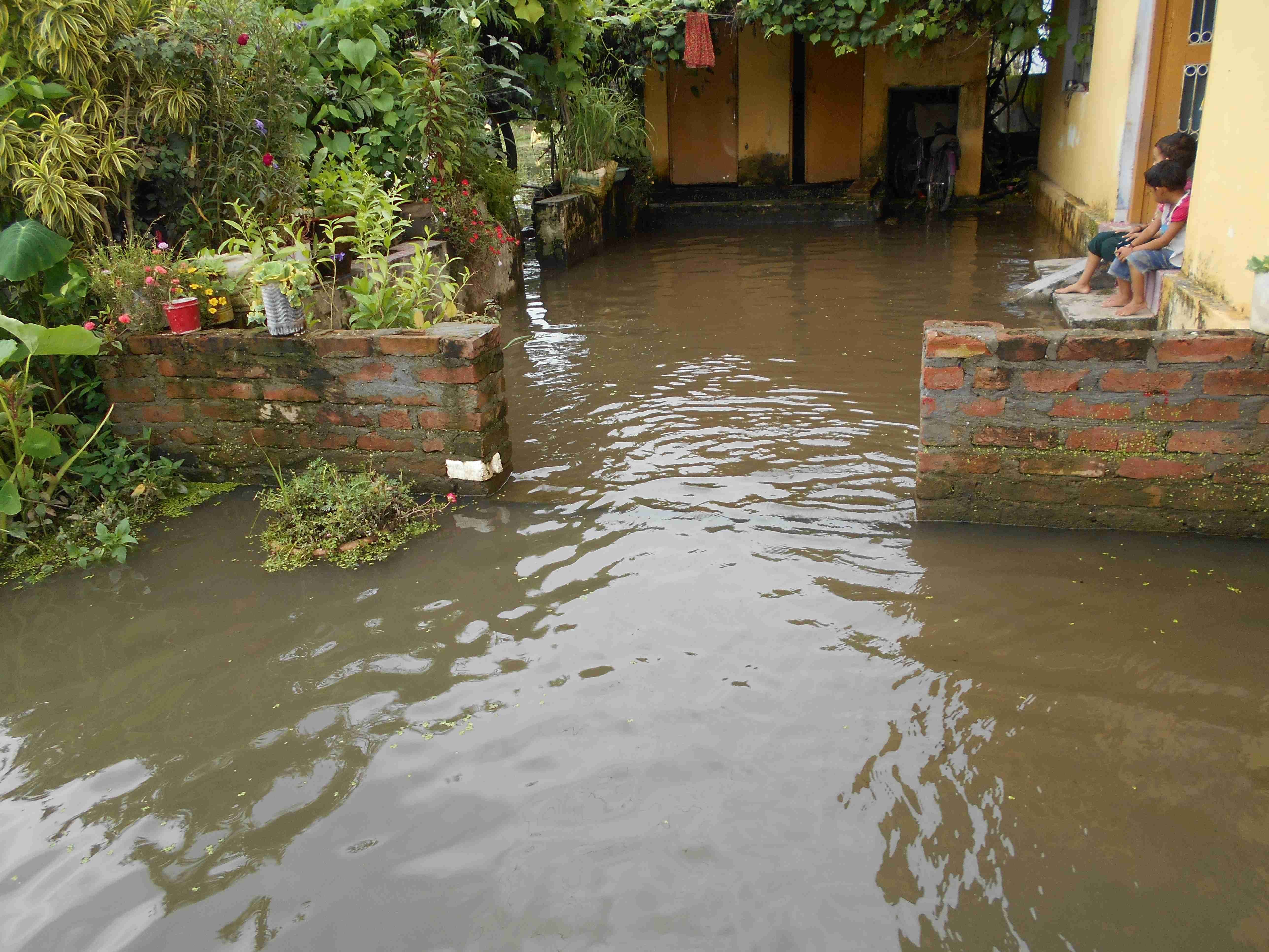 विचई गांव में घर के आंगन तक हुआ जलभराव। विचई गांव में घर के आंगन तक हुआ जलभराव।