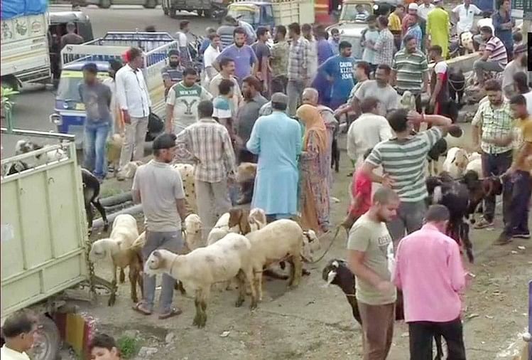 बकरे खरीदने के लिए लगी भीड़