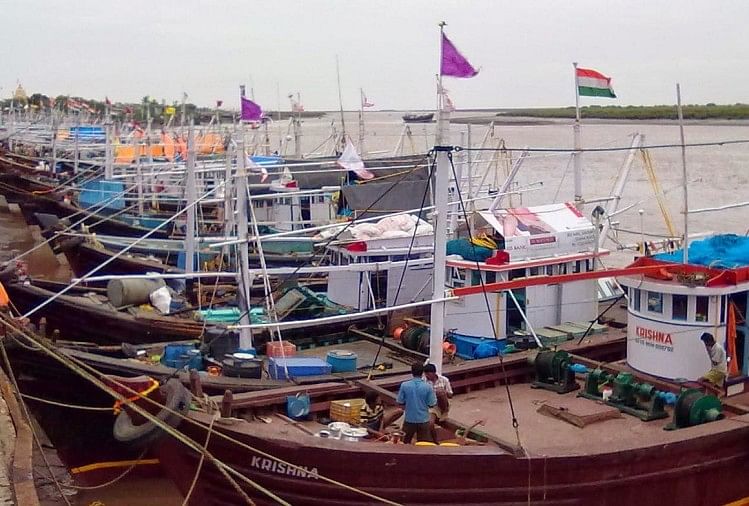 गुजरात: स्वतंत्रता दिवस के दिन तिरंगा फहराते समुद्र में उतरेंगी 250 मछली पकड़ने वाली नौकाएं धोलाई बंदरगाह